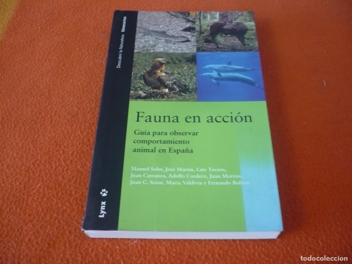 Libros de segunda mano: FAUNA EN ACCION GUIA PARA OBSERVAR COMPORTAMIENTO ANIMAL EN ESPA&Ntilde;A DESCUBRIR NATURALEZA ETOLOGIA