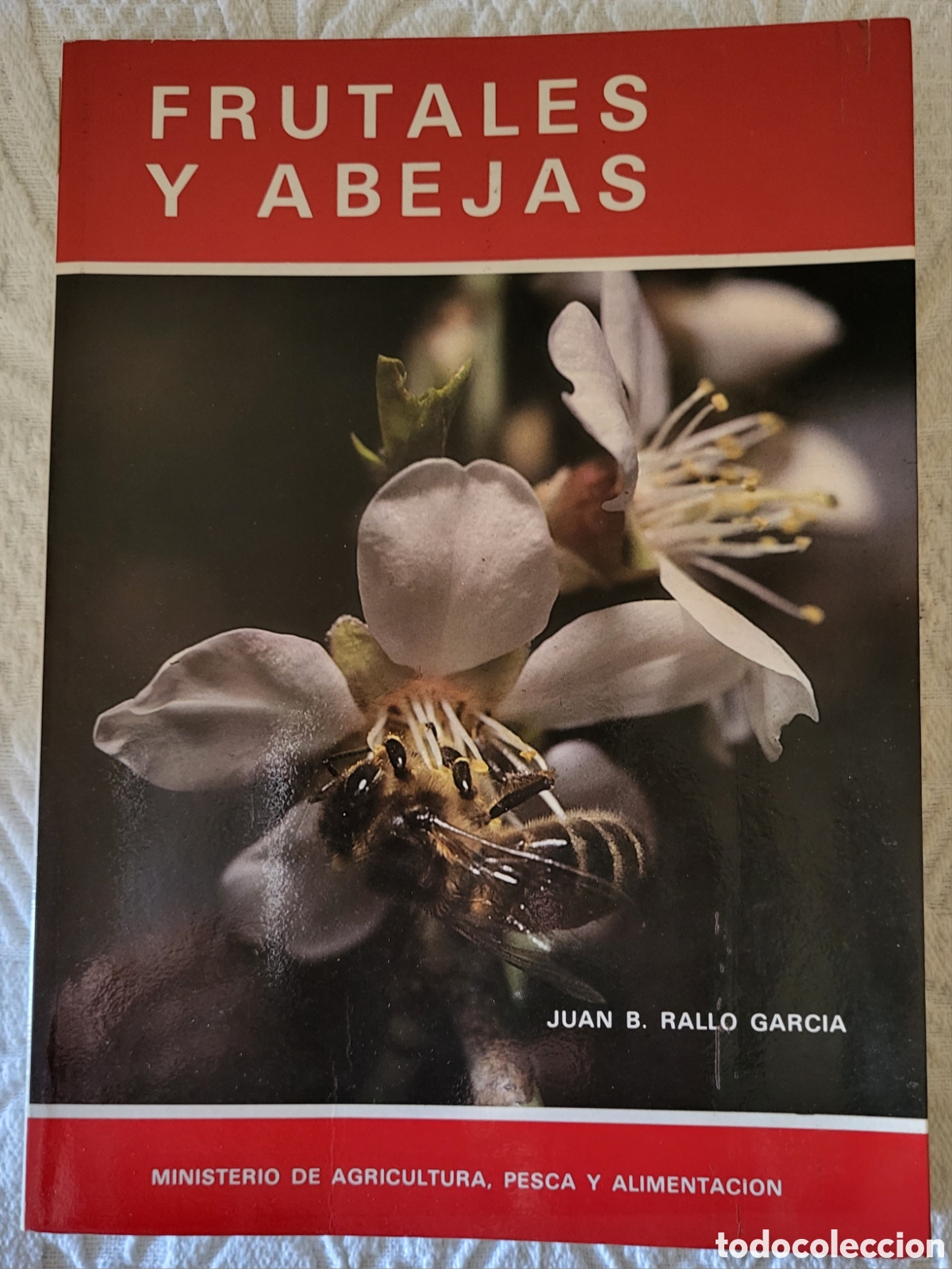 Libros de segunda mano: Frutales y abejas/Juan B Rallo Garcia