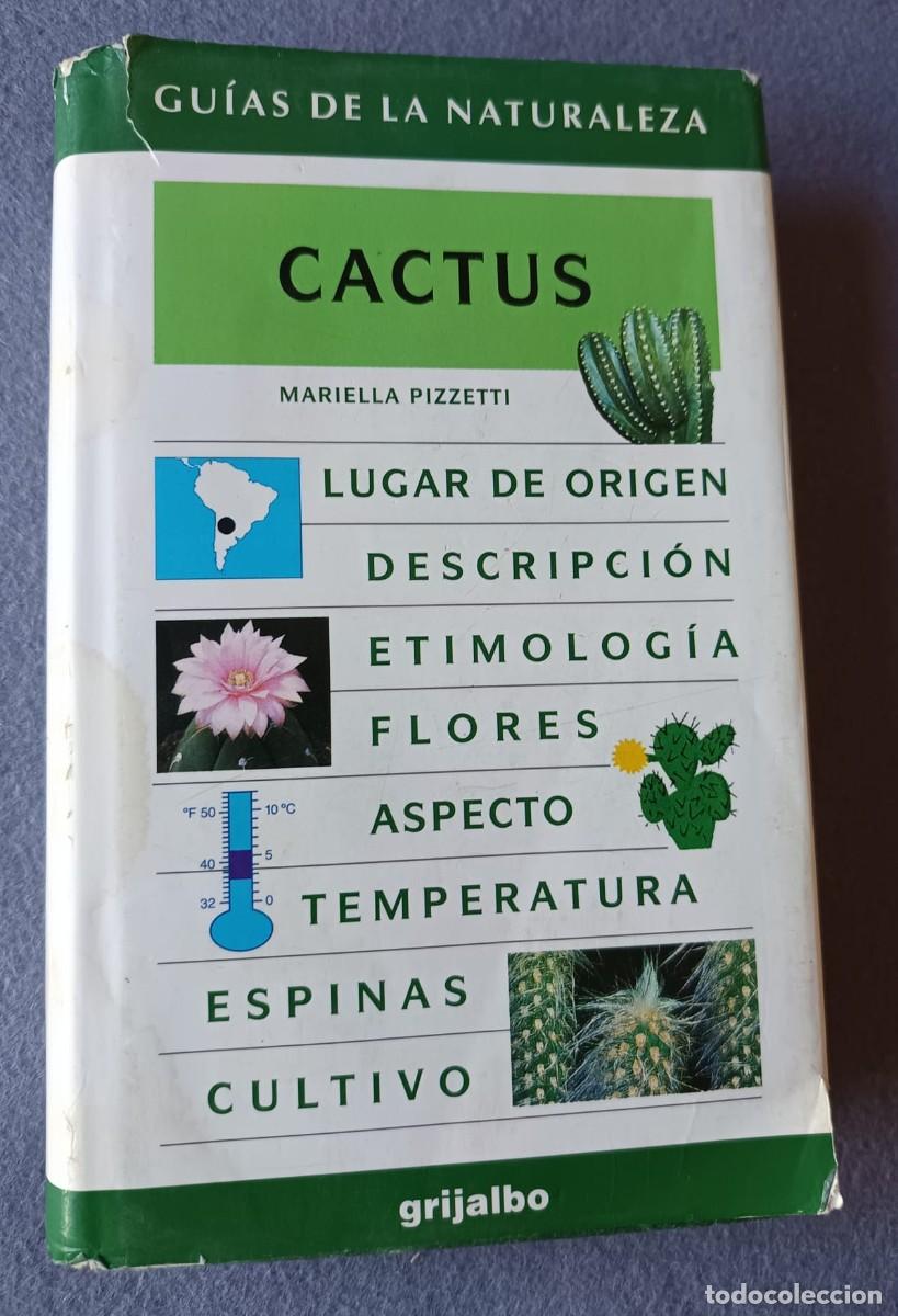 Libros de segunda mano: LIBRO. CACTUS. Mariella Pizzeti. Grijalbo.