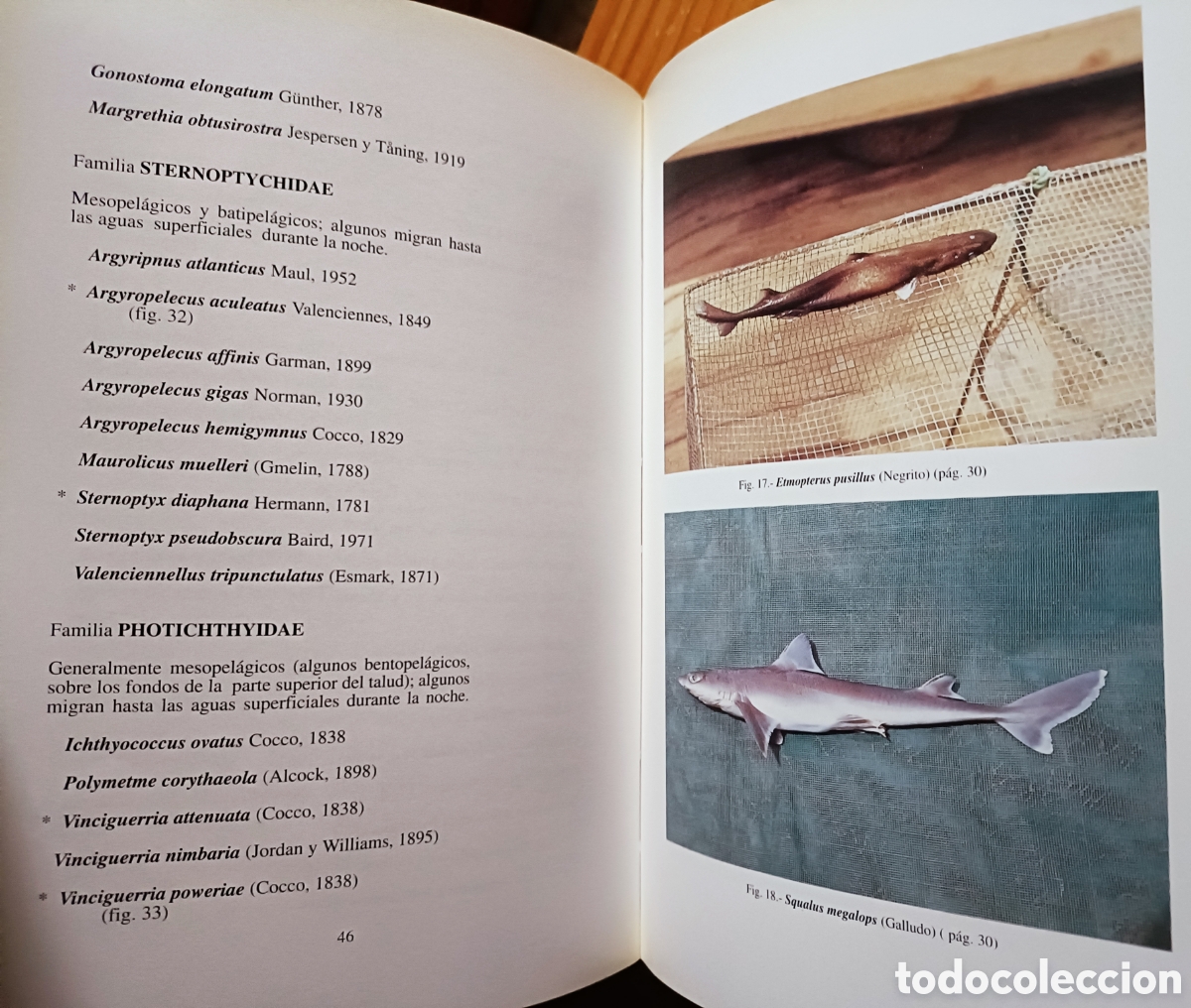 Libros de segunda mano: Cat&aacute;logo de los peces de las Islas Canarias - Foto 4