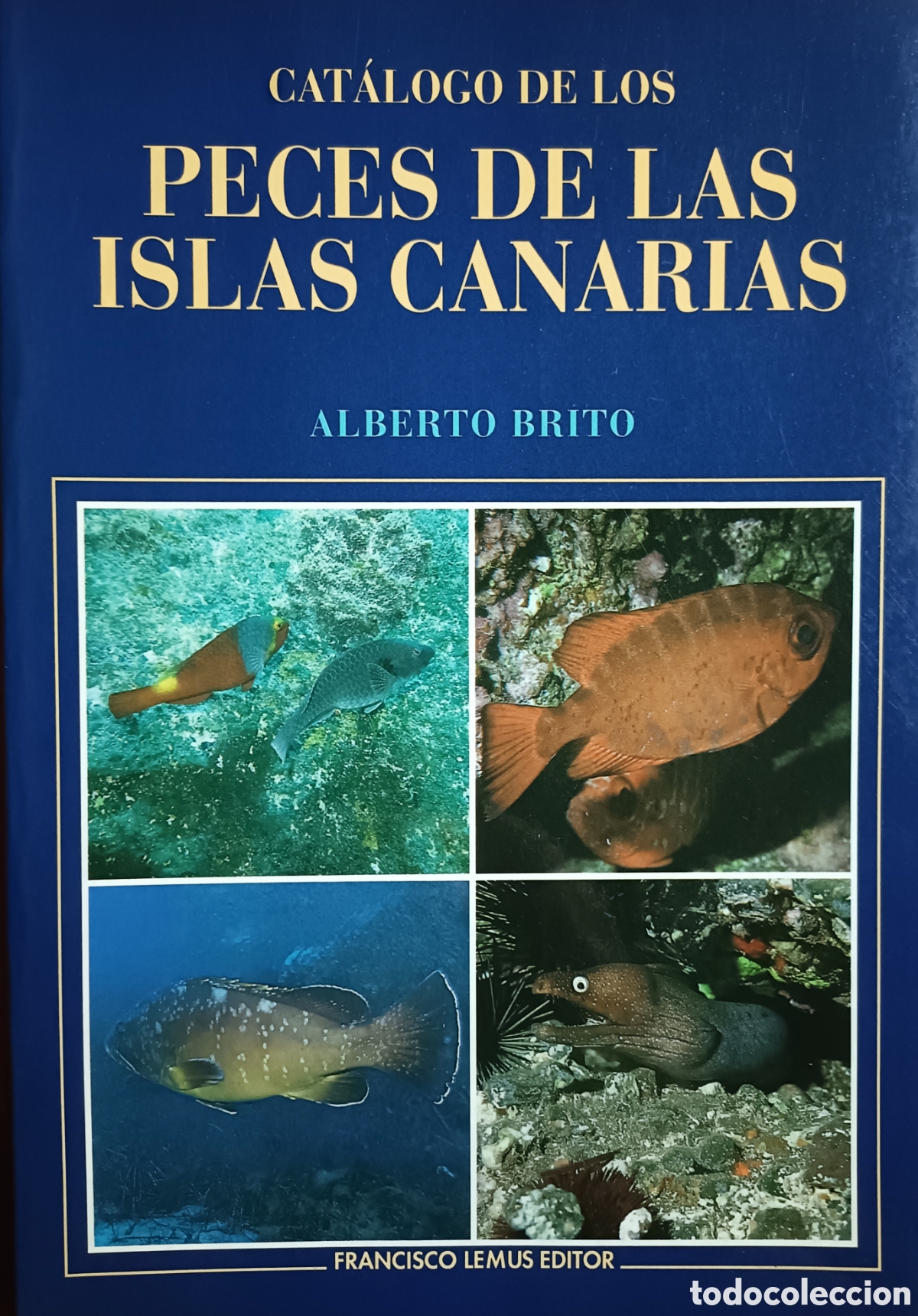 Libros de segunda mano: Cat&aacute;logo de los peces de las Islas Canarias