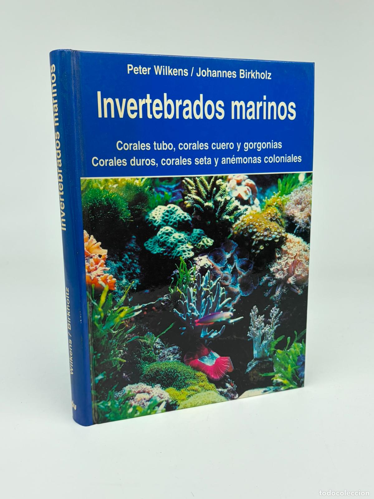 Libros de segunda mano: Invertebrados marinos: corales y an&eacute;monas / Peter Wilkens y Johannes Birkholz