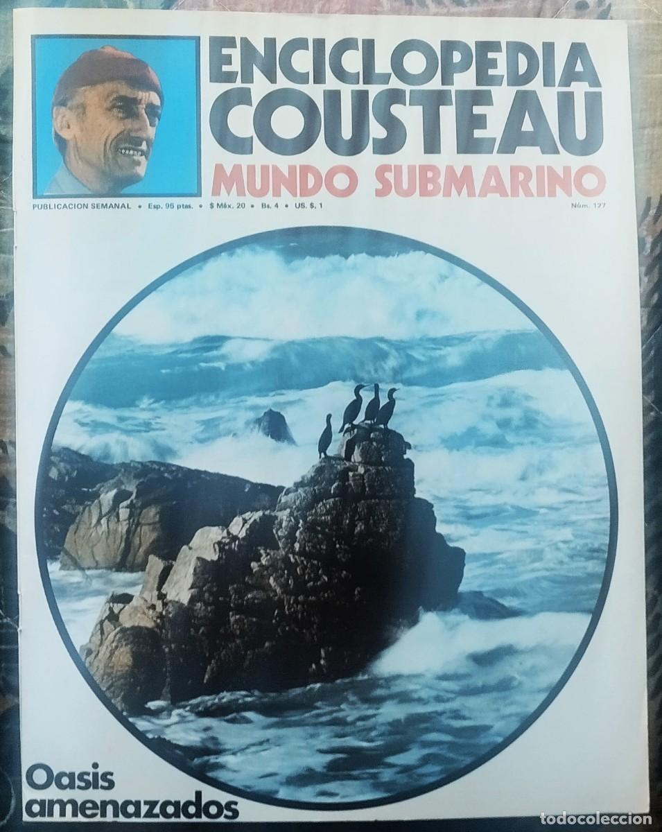 Libros de segunda mano: ENCICLOPEDIA COUSTEAU. MUNDO SUBMARINO. FASCICULO NUMERO 127