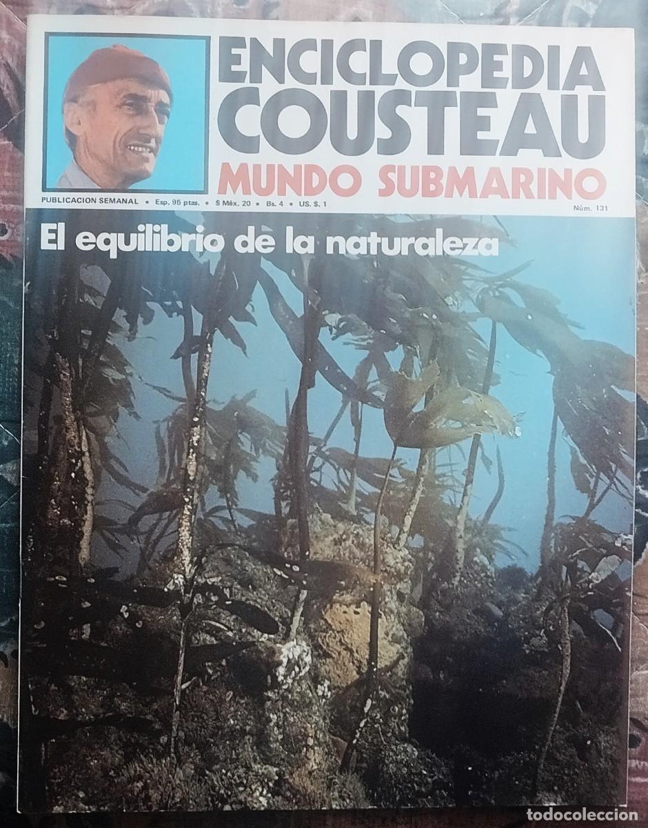 Libros de segunda mano: ENCICLOPEDIA COUSTEAU. MUNDO SUBMARINO. FASCICULO NUMERO 131