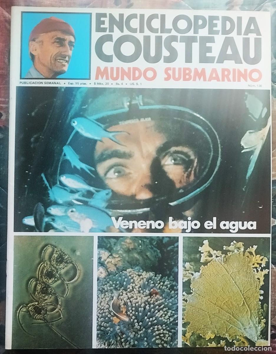 Libros de segunda mano: ENCICLOPEDIA COUSTEAU. MUNDO SUBMARINO. FASCICULO NUMERO 136
