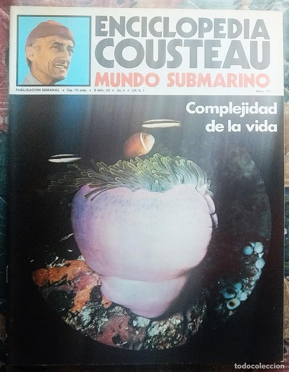 Libros de segunda mano: ENCICLOPEDIA COUSTEAU. MUNDO SUBMARINO. FASCICULO NUMERO 137
