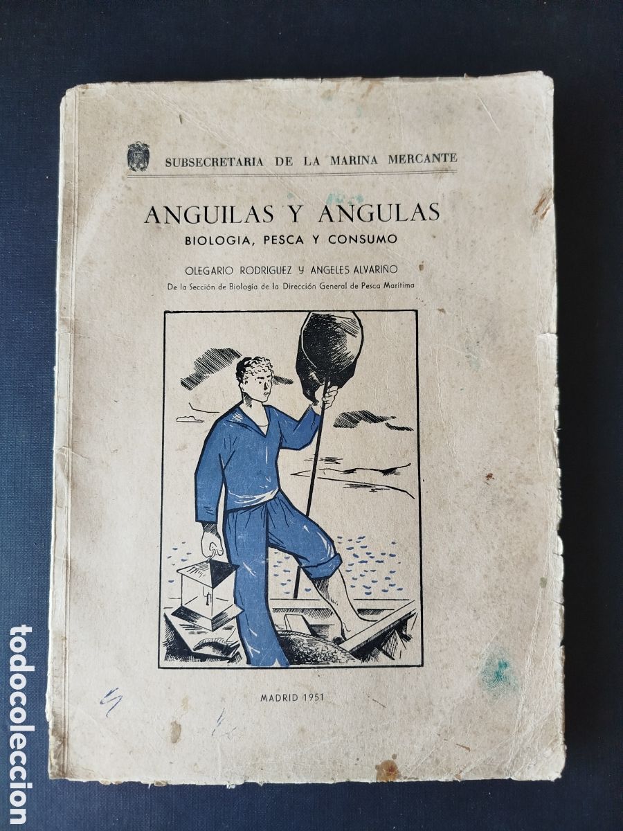 Libros de segunda mano: ANGUILAS Y ANGULAS. BIOLOG&Iacute;A, PESCA Y CONSUMO. O. RODR&Iacute;GUEZ Y A. ALVARI&Ntilde;O. MADRID 1951