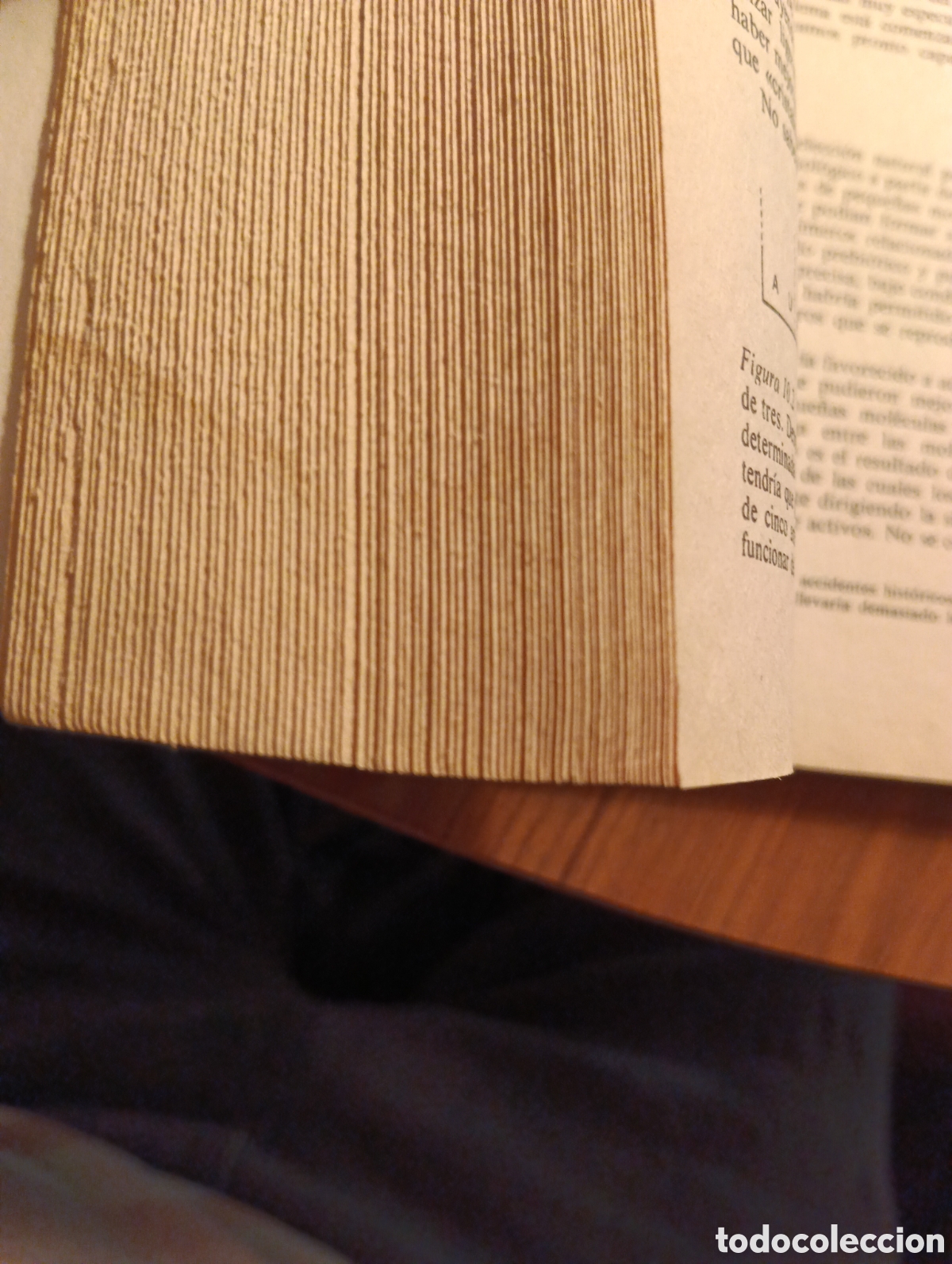 Libros de segunda mano: Los or&iacute;genes de la vida,L.E. Orgel - Foto 4