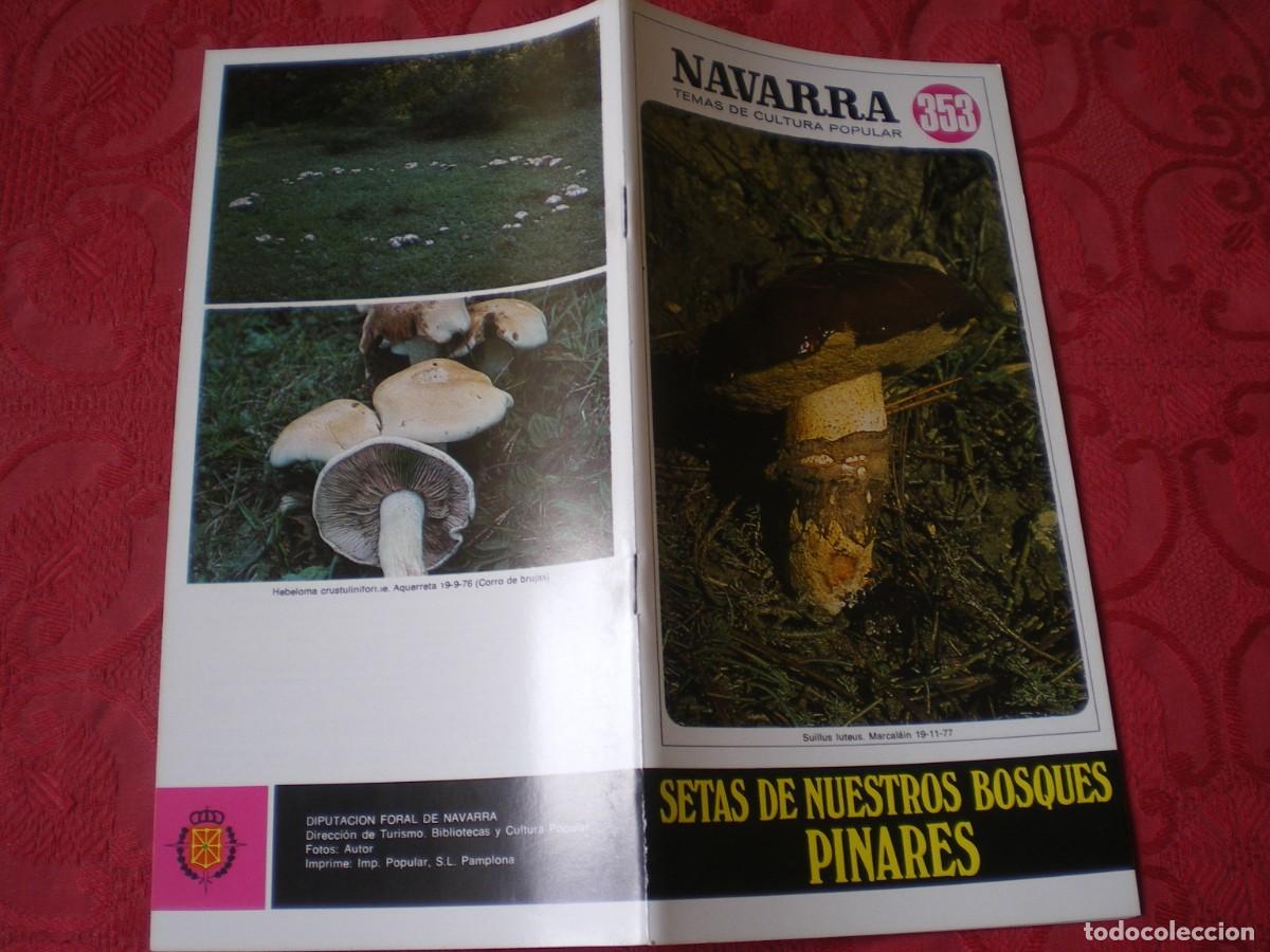 Libros de segunda mano: NAVARRA TEMAS DE CULTURA POPULAR 353. SETAS DE NUESTROS BOSQUES PINARES. LUIS MIGUEL GARC&Iacute;A BONA.