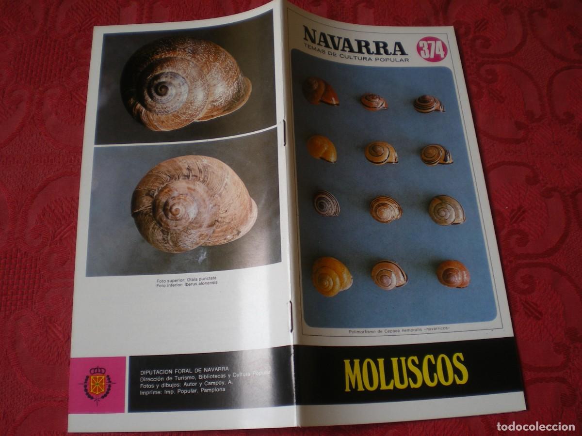 Libros de segunda mano: NAVARRA TEMAS DE CULTURA POPULAR 374. MOLUSCOS. MARIANO LUIS LARRAZ.