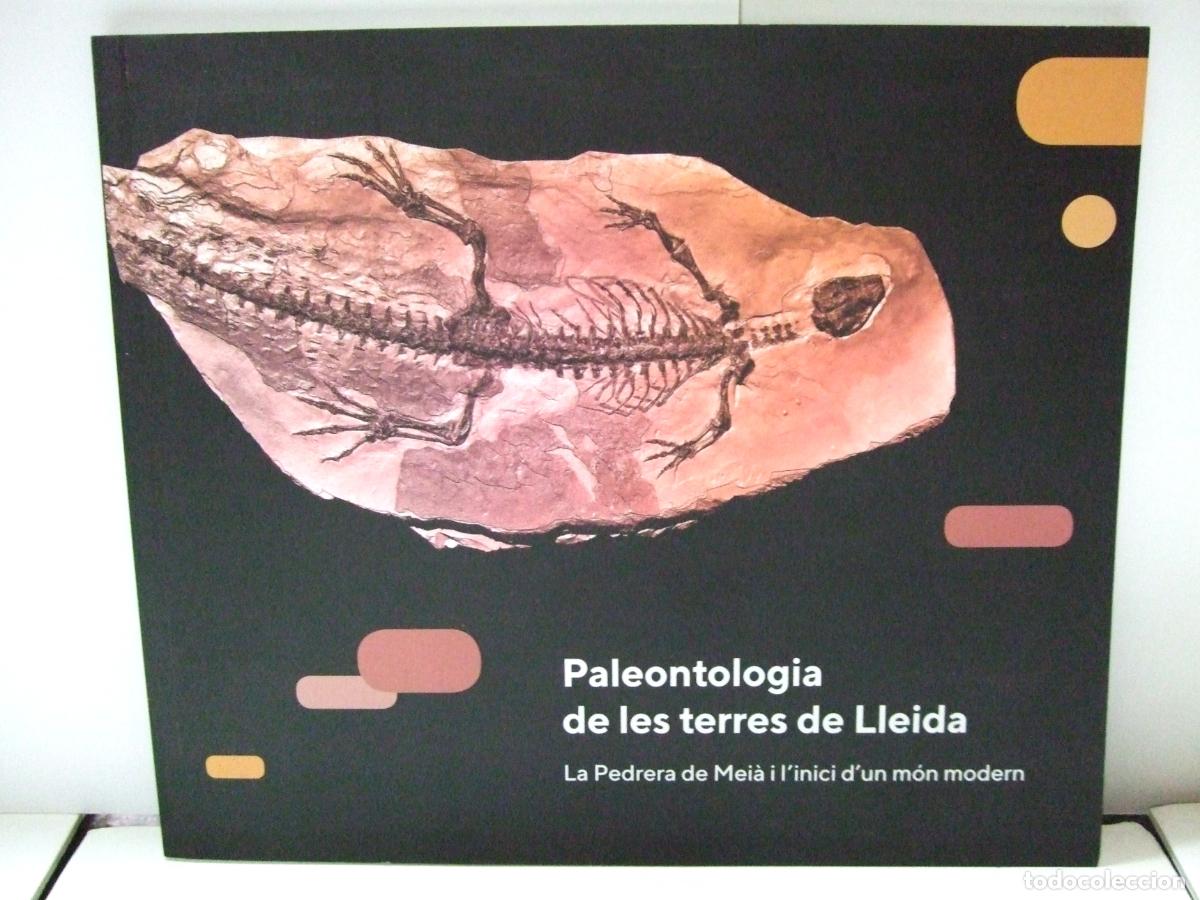 Libros de segunda mano: PALEONTOLOGIA DE LES TERRES DE LLEIDA LA PEDRERA DE MEI&Agrave; I L&acute;INICI D&acute;UN M&Oacute;N MODERN F&Oacute;SILES L&Eacute;RIDA
