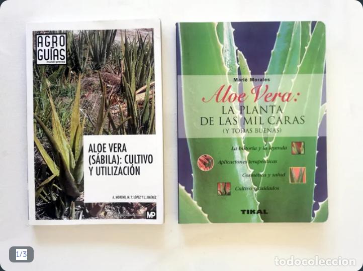 Libros de segunda mano: Aloe Vera (S&aacute;bila): Cultivo y utilizaci&oacute;n A. Moreno, M. Y. L&oacute;pez y L. Jim&eacute;nez . Agrogu&iacute;as. Mundi Pre