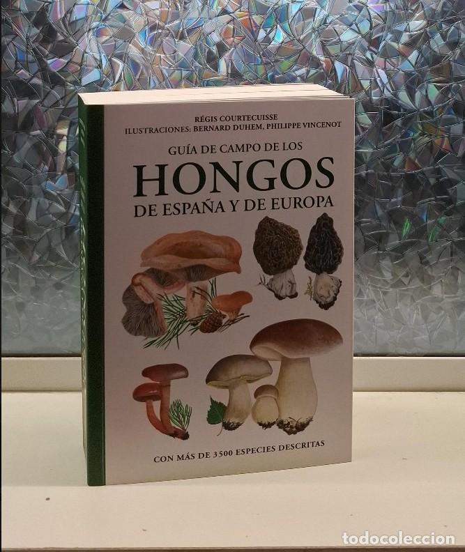 Gebrauchte B&uuml;cher: Guia de Campo de los Hongos de Espa&ntilde;a y Europa: R - Regis Courtecuisse - Omega - Gu&iacute;as del Naturalis