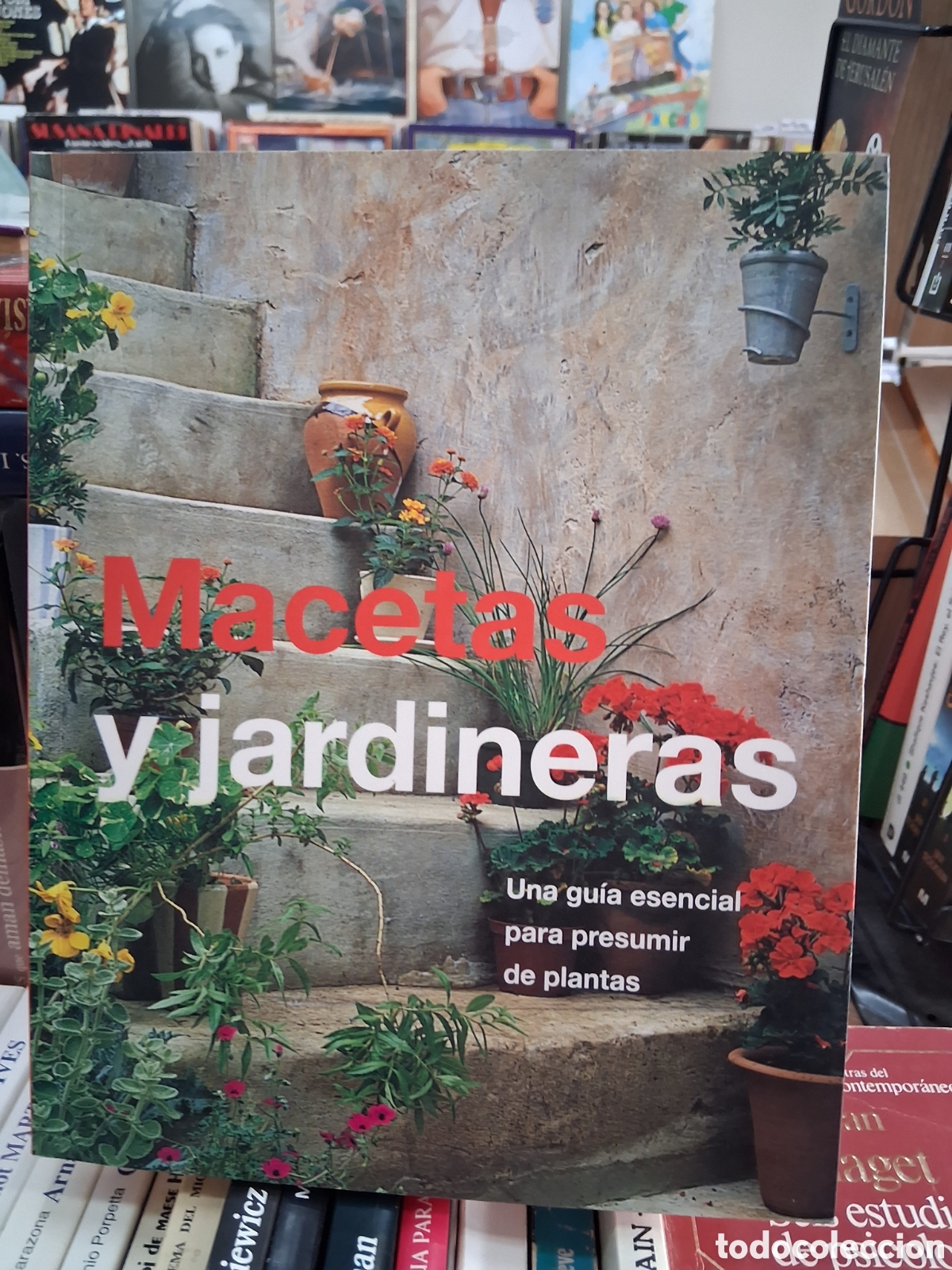 Libros de segunda mano: Macetas y jardineras - Antonhy Atha