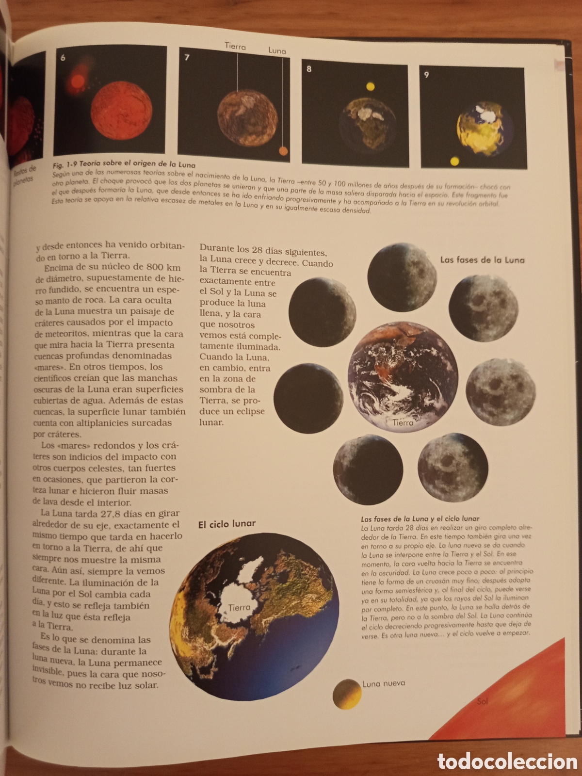 Libros de segunda mano: LA TIERRA. MARES Y OCEANOS / CONTINENTES / UNIVERSO (NGV) - Foto 5