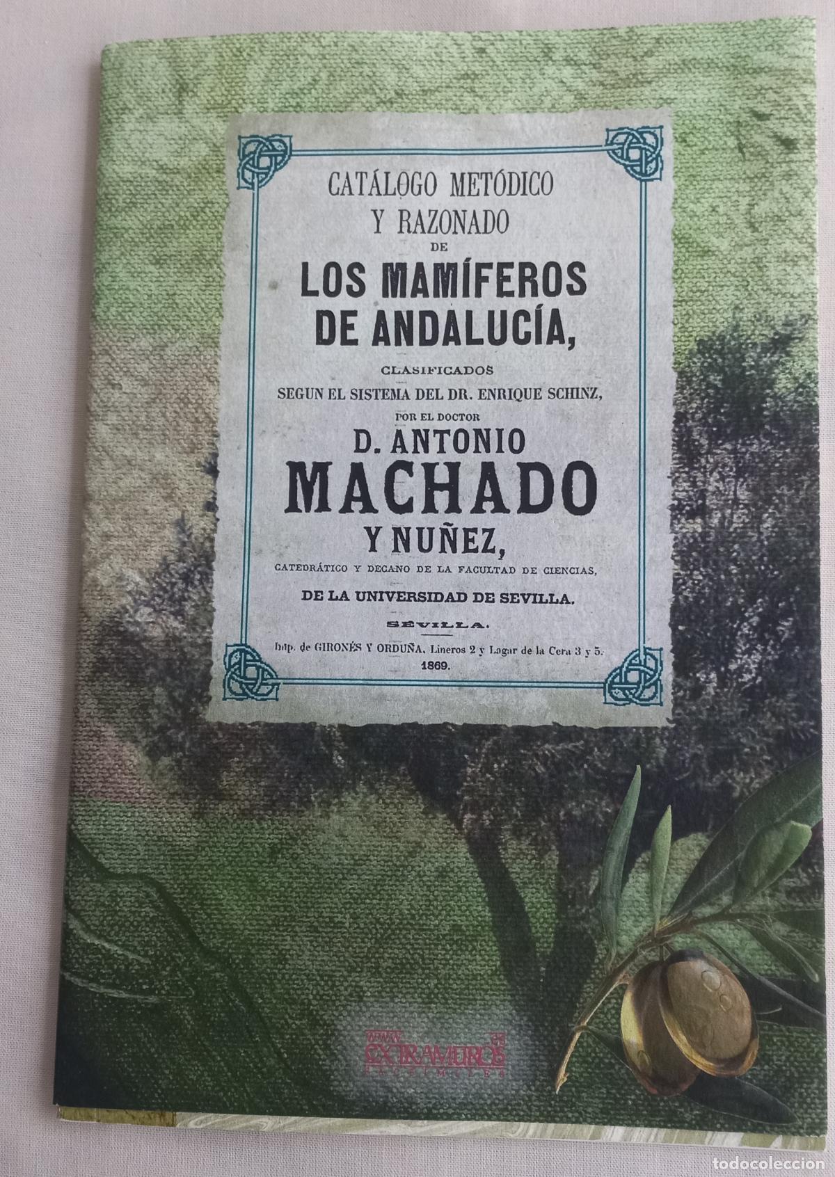 Libros de segunda mano: Cat&aacute;logo met&oacute;dico y razonado de los mam&iacute;feros de Andaluc&iacute;a. Antonio Machado y N&uacute;&ntilde;ez.