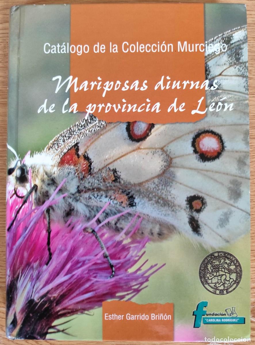 Libros de segunda mano: MARIPOSAS DIURNAS DE LA PROVINCIA DE LE&Oacute;N - ESTHER GARRIDO BRI&Ntilde;&Oacute;N