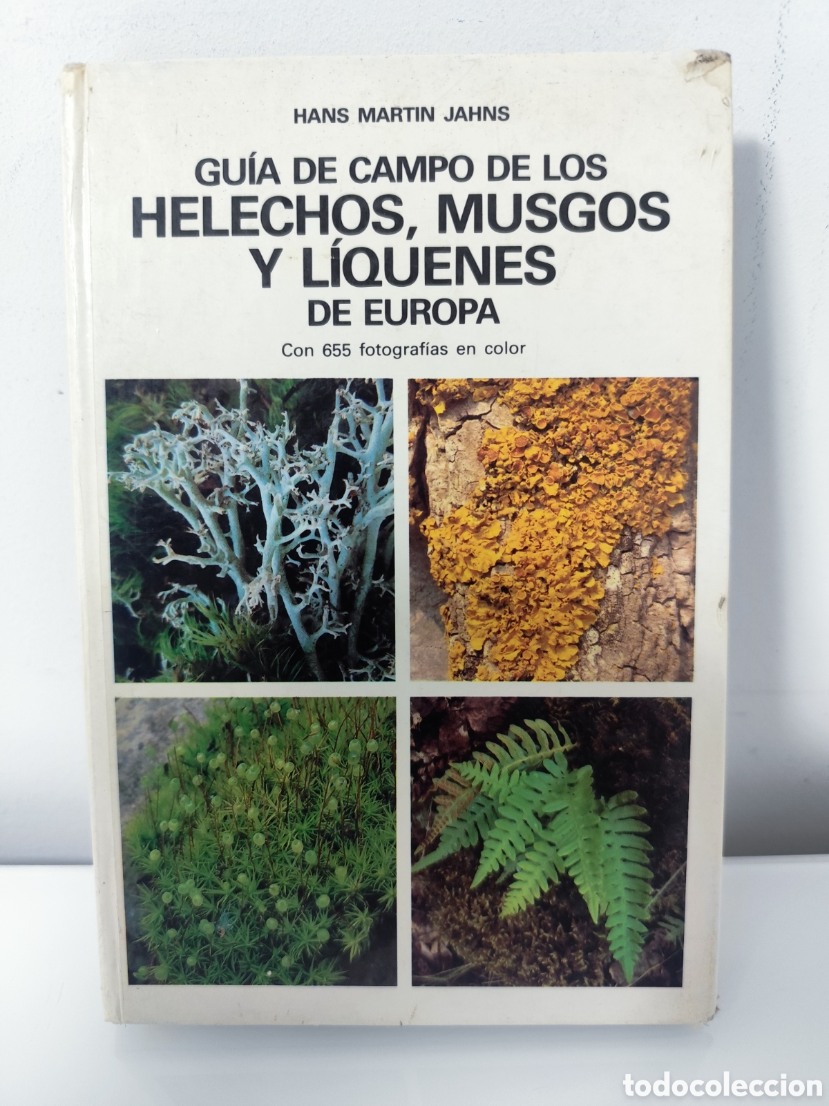 Libros de segunda mano: GUIA DE CAMPO DE LOS HELECHOS, MUSGOS Y L&Iacute;QUENES DE EUROPA (OMEGA, 1982)