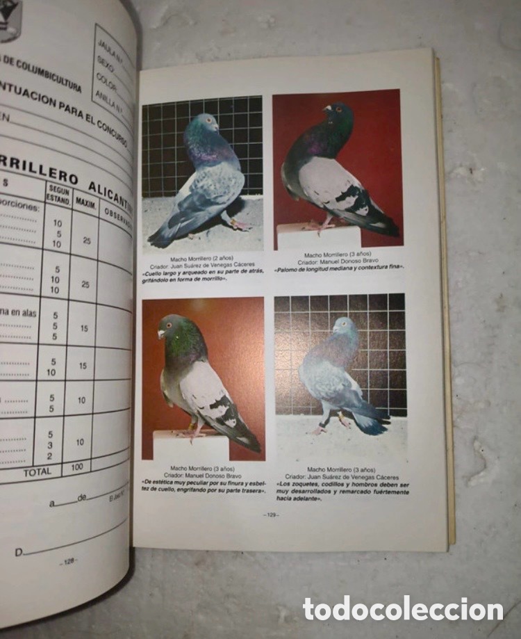 Libros de segunda mano: PALOMAS DE RAZA BUCHONAS ESPA&Ntilde;OLAS - Foto 3