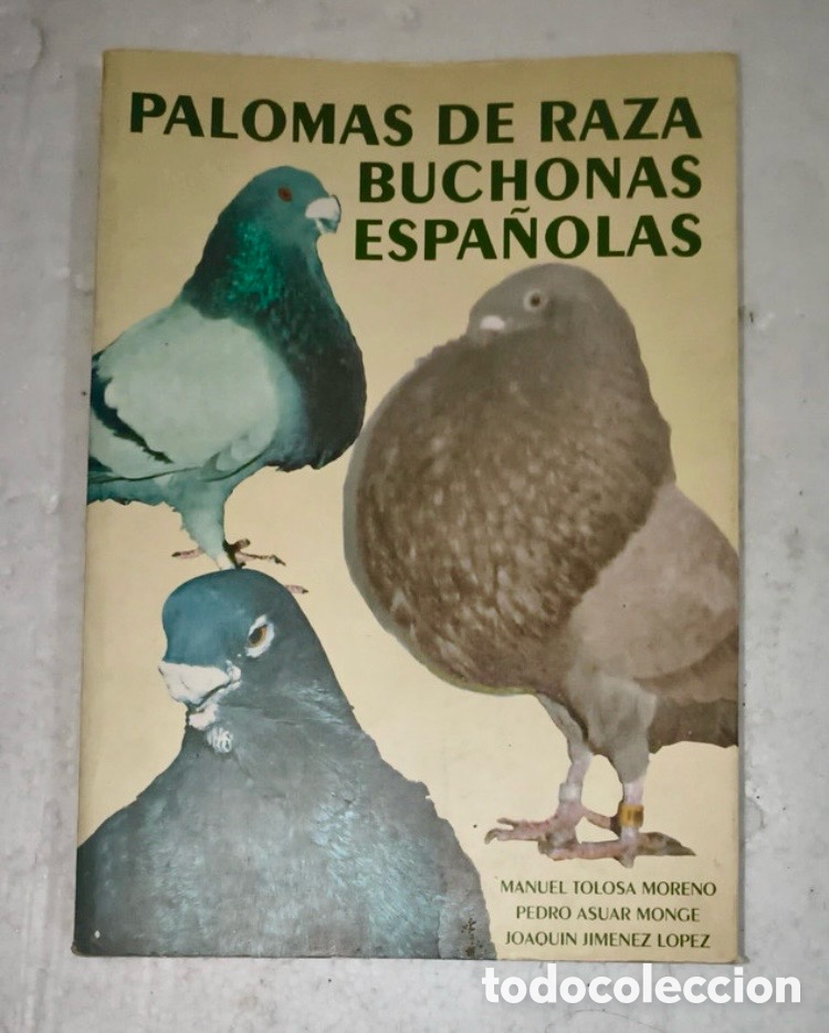 Libros de segunda mano: PALOMAS DE RAZA BUCHONAS ESPA&Ntilde;OLAS