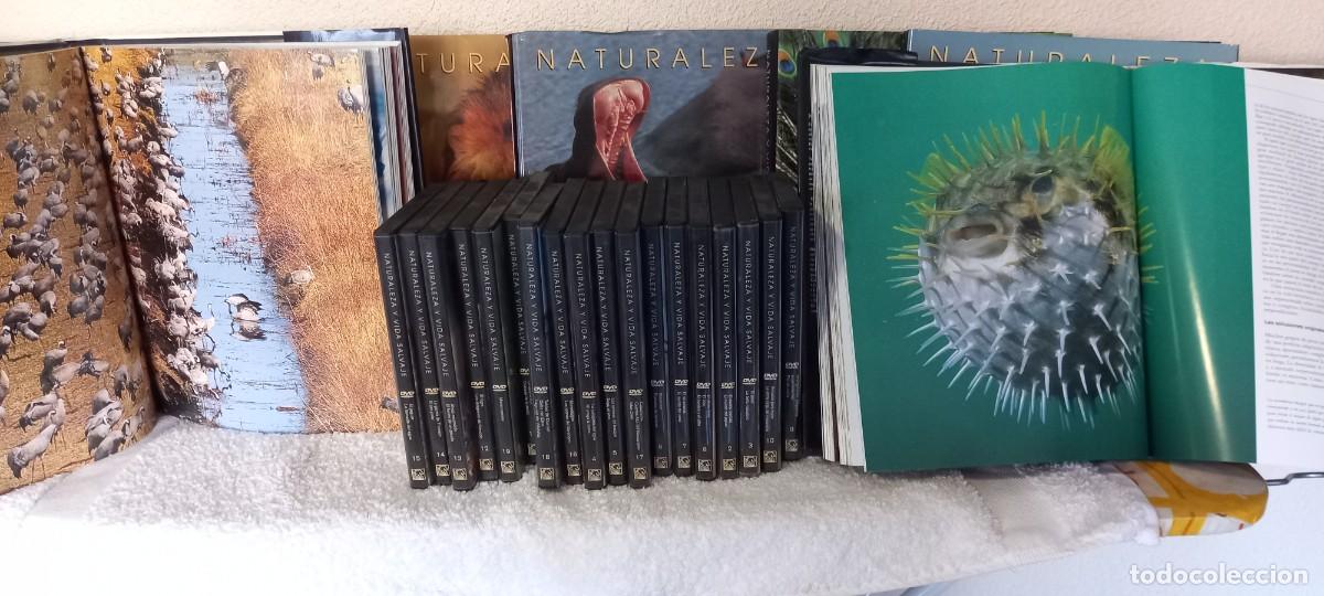 Libros de segunda mano: Colecci&oacute;n Naturaleza y vida salvaje