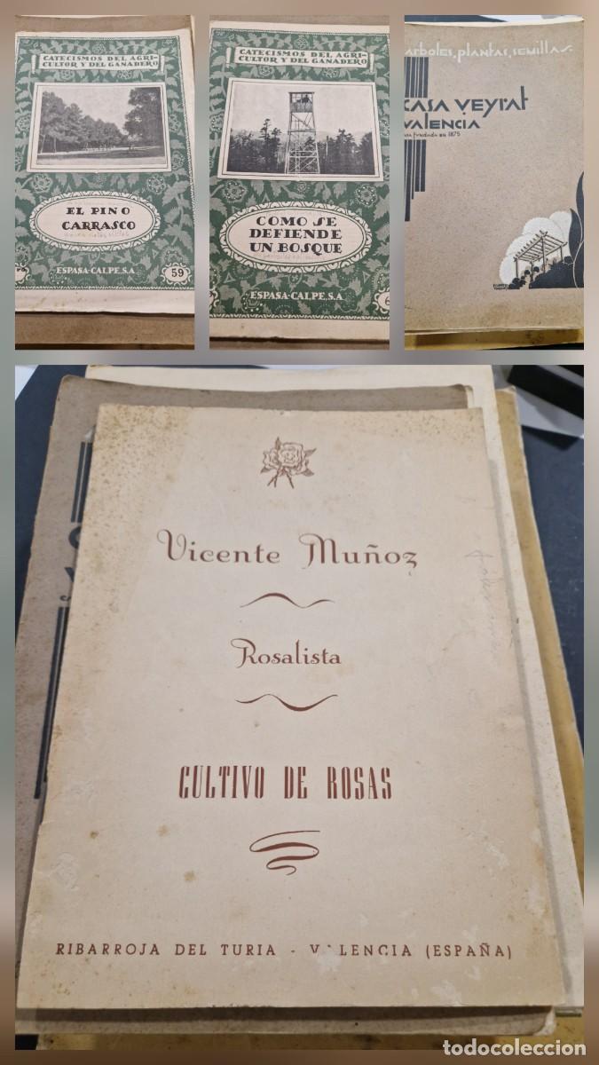 Libros de segunda mano: Cuatro libros de plantas y &aacute;rboles.