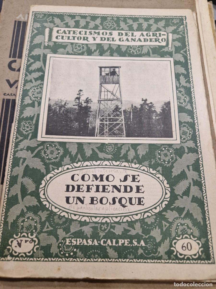 Libros de segunda mano: Cuatro libros de plantas y &aacute;rboles. - Foto 5