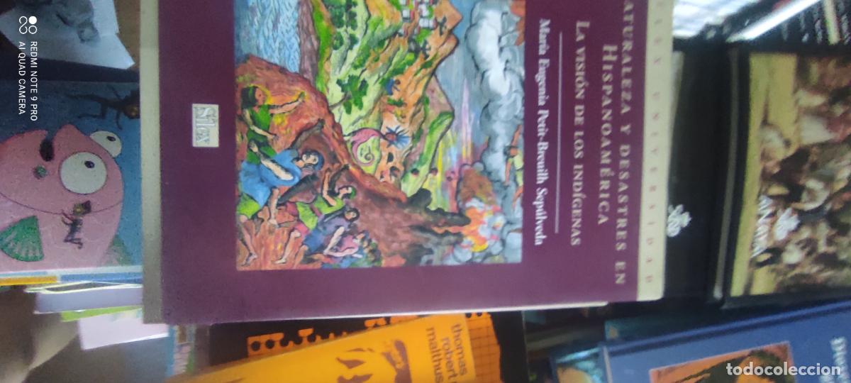 Libros de segunda mano: NATURALEZA Y DESASTRES EN HISPANOAMERICA. La visi&oacute;n de los Ind&iacute;genas - PETIT BREUILH SEPULVEDA,Mar&iacute;