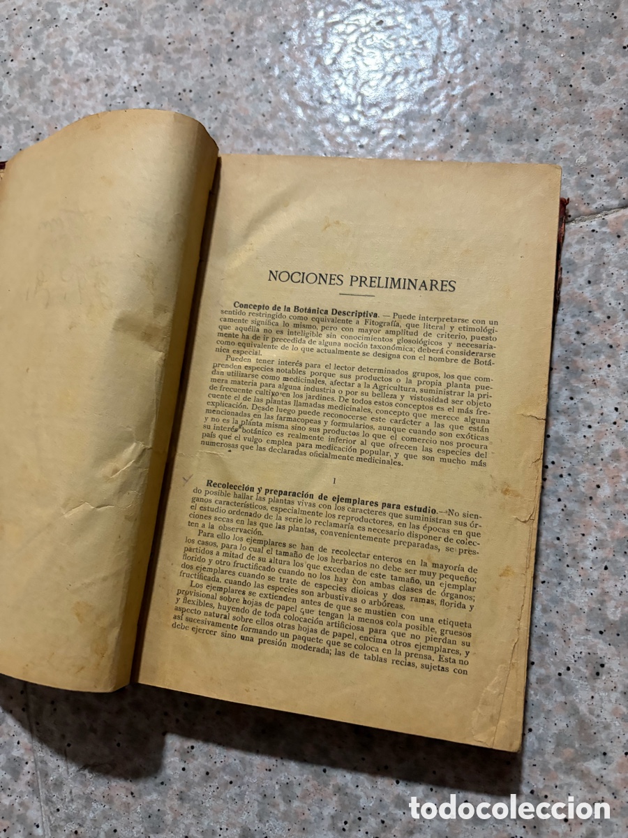 Libros de segunda mano: Blas93C l&aacute;zaro - bot&aacute;nica descriptiva - 1920 - Foto 5