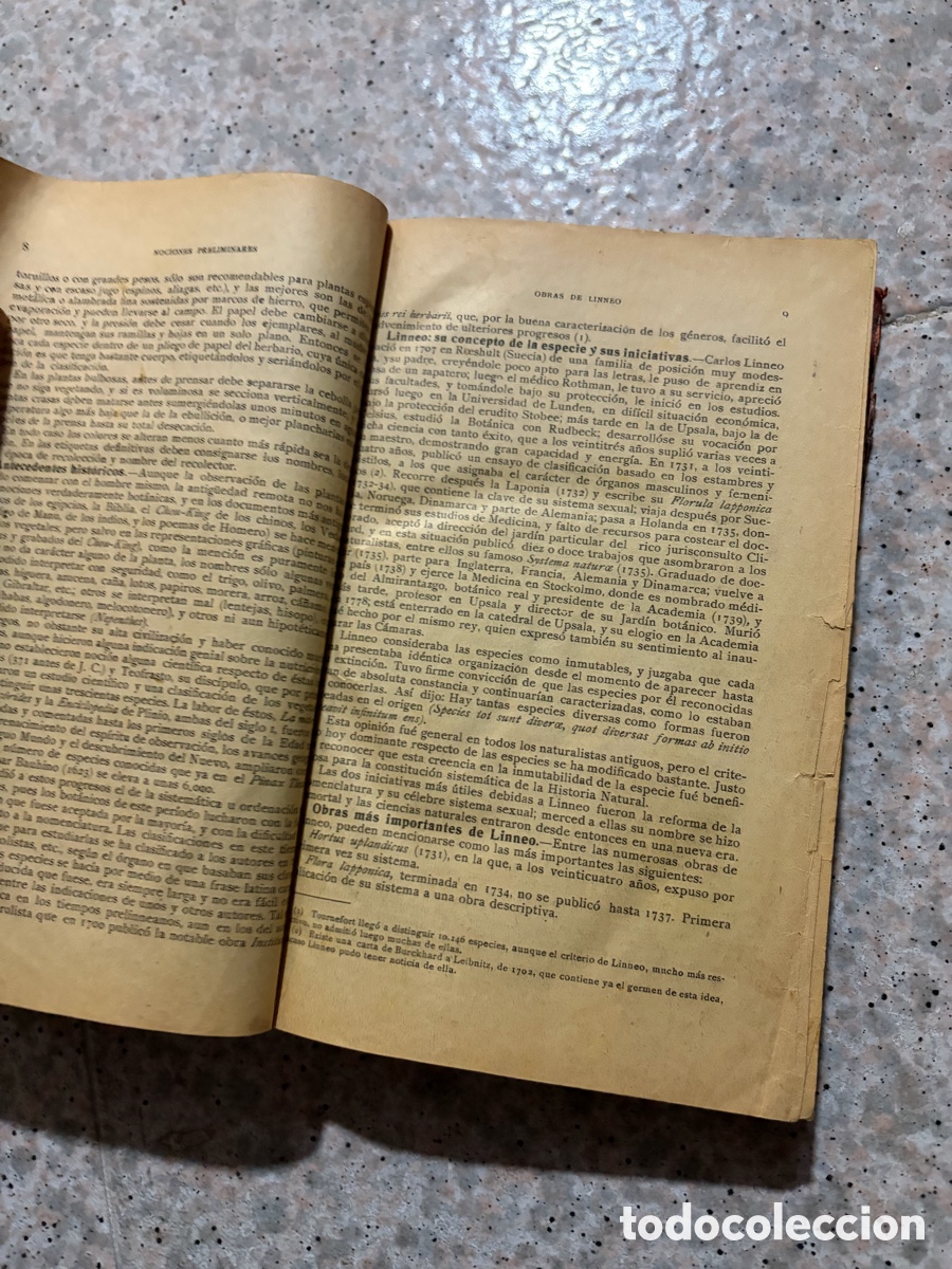 Libros de segunda mano: Blas93C l&aacute;zaro - bot&aacute;nica descriptiva - 1920 - Foto 6