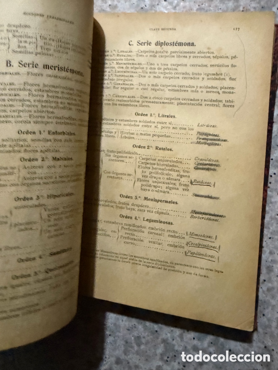 Libros de segunda mano: Blas93C l&aacute;zaro - bot&aacute;nica descriptiva - 1920 - Foto 7