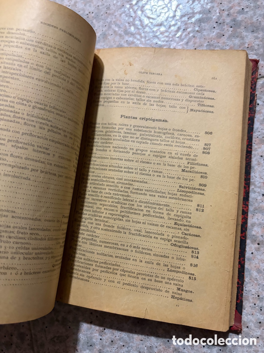 Libros de segunda mano: Blas93C l&aacute;zaro - bot&aacute;nica descriptiva - 1920 - Foto 13