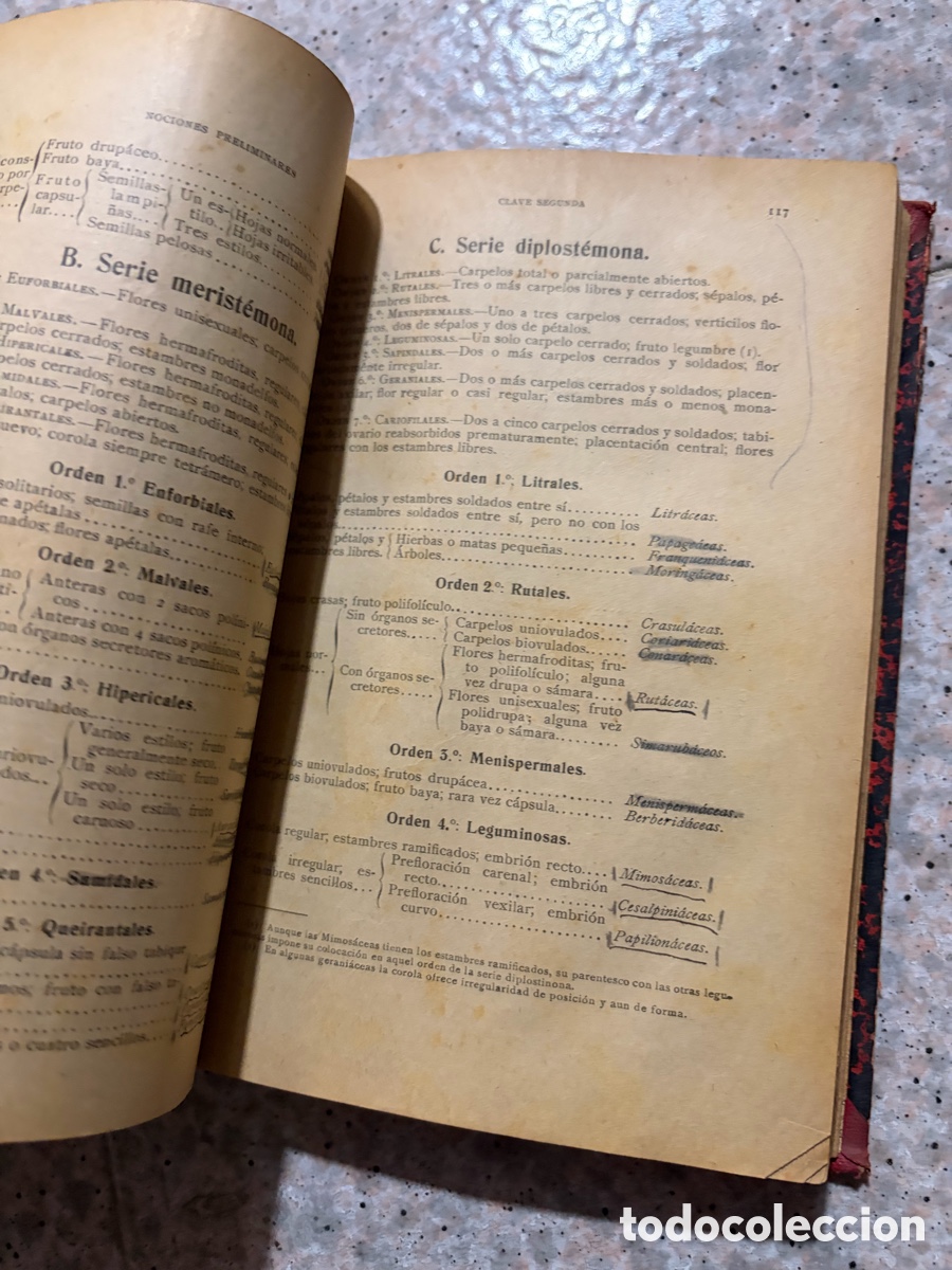 Libros de segunda mano: Blas93C l&aacute;zaro - bot&aacute;nica descriptiva - 1920 - Foto 14