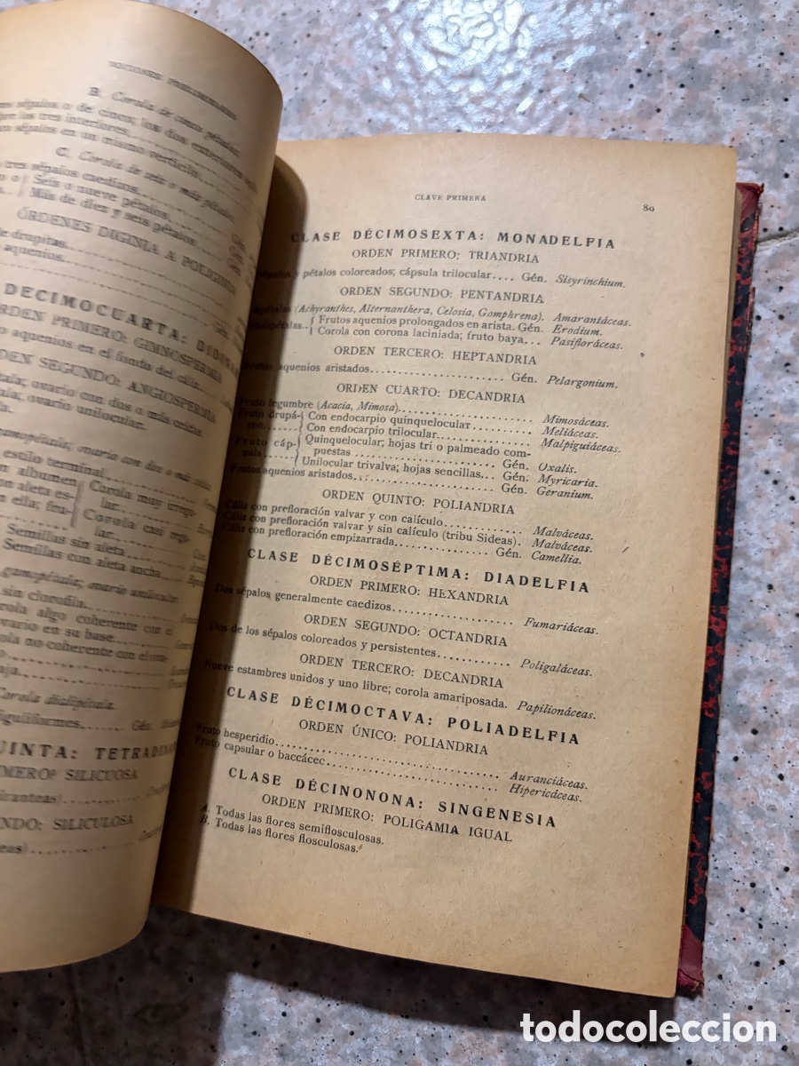 Libros de segunda mano: Blas93C l&aacute;zaro - bot&aacute;nica descriptiva - 1920 - Foto 15