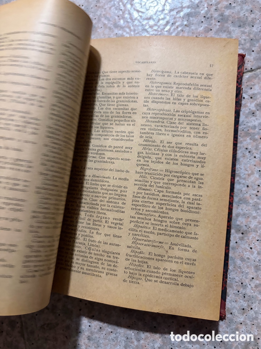 Libros de segunda mano: Blas93C l&aacute;zaro - bot&aacute;nica descriptiva - 1920 - Foto 16