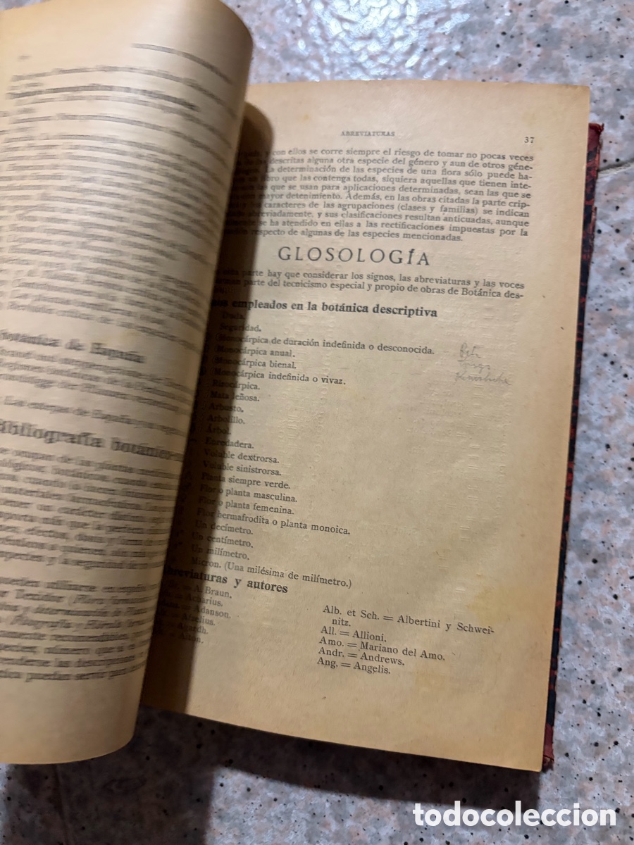 Libros de segunda mano: Blas93C l&aacute;zaro - bot&aacute;nica descriptiva - 1920 - Foto 17