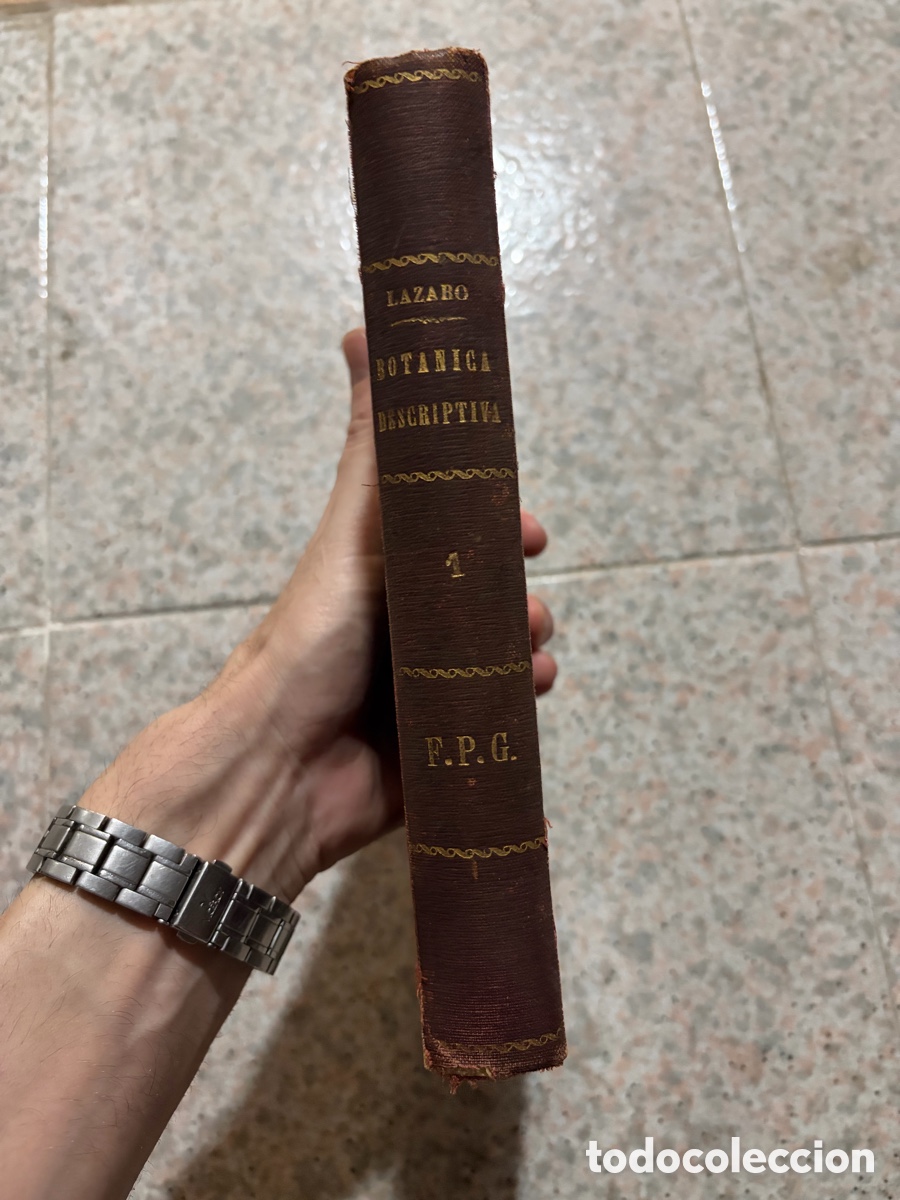 Libros de segunda mano: Blas93C l&aacute;zaro - bot&aacute;nica descriptiva - 1920