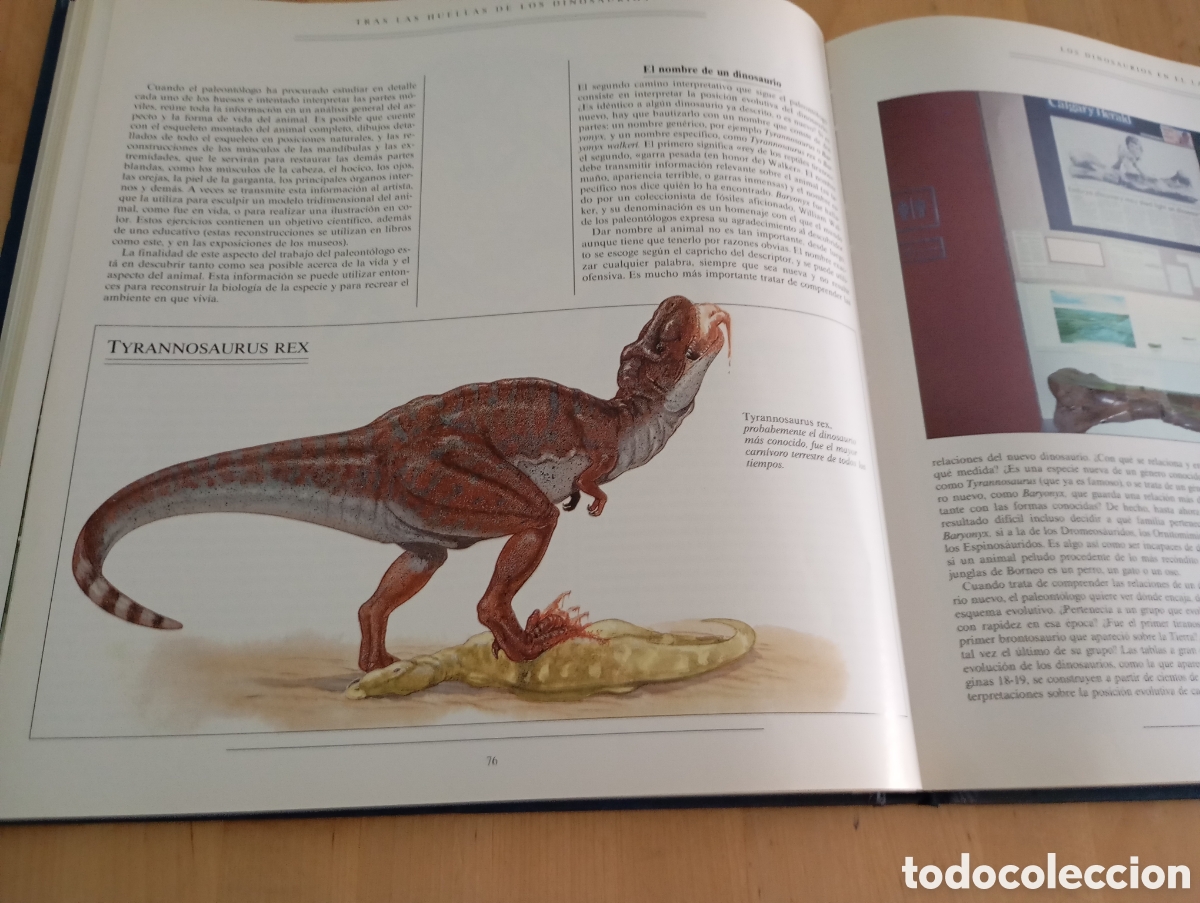 Libros de segunda mano: Tras las huellas de los Dinosaurios. Dr Michael J. Benton. Acanto 1991 - Foto 2