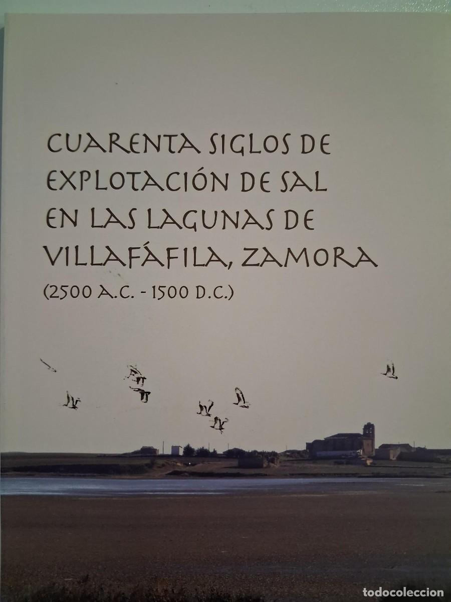 Libros de segunda mano: CUARENTA SIGLOS DE EXPLOTACION DE SAL EN LAS LAGUNAS DE VILLAFAFILA ZAMORA ABARQUERO MORAS