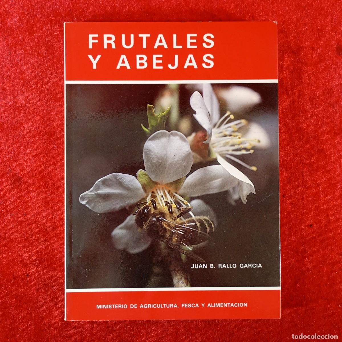 Libros de segunda mano: FRUTALES Y ABEJAS - JUAN B. RALLO GARCIA - MINISTERIO DE AGRICULTURA, PESCA Y ALIMENTACI&Oacute;N / 2187
