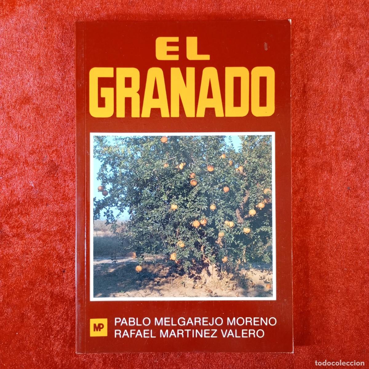 Libros de segunda mano: EL GANADO - PABLO MELGAREJO MORENO - RAFAEL MARTINEZ VALERO / 2192
