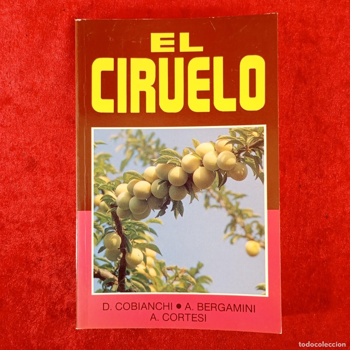 Libros de segunda mano: EL CIRUELO - D. COBIANCHI - A. BERGAMINI - A. CORTESI / 2196