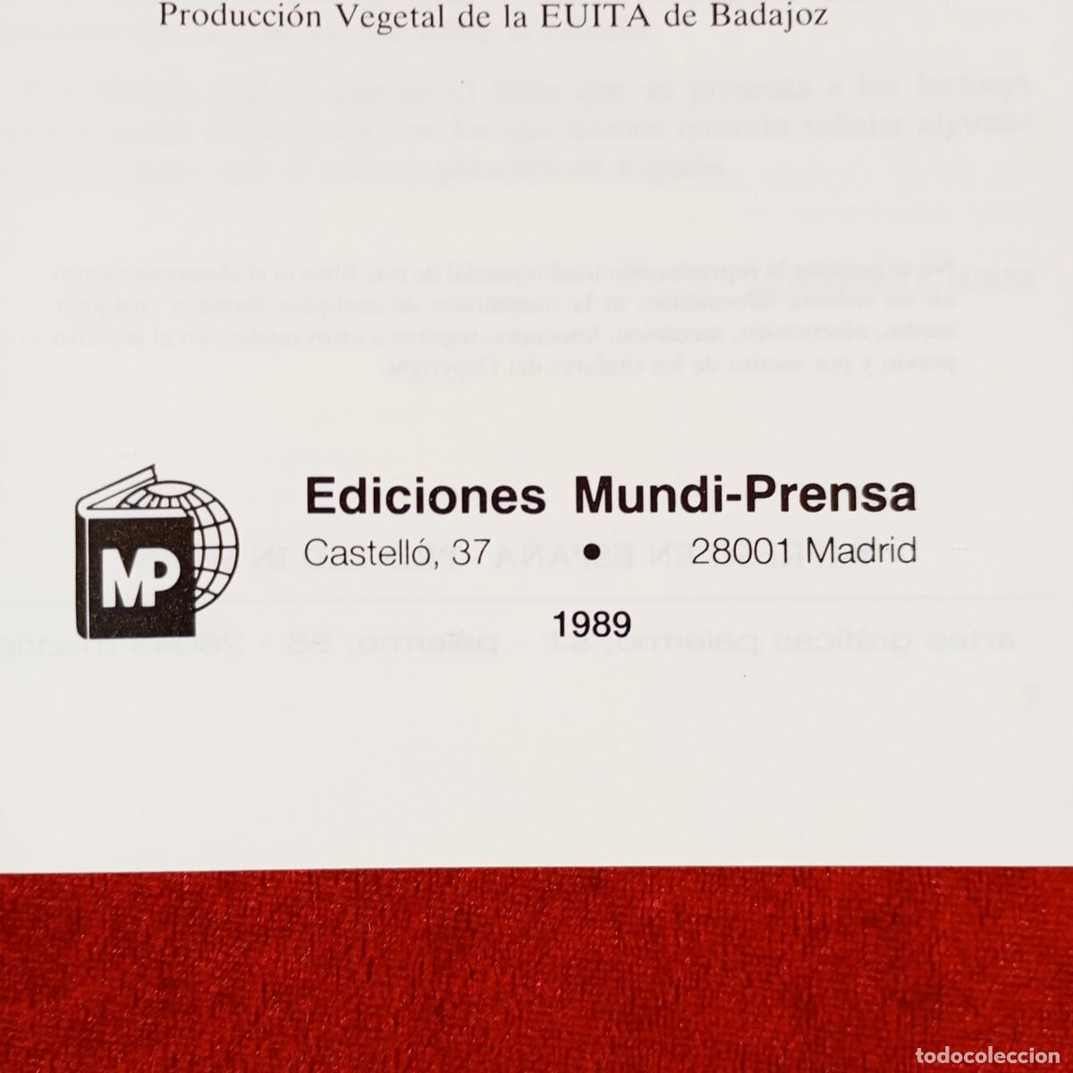 Libros de segunda mano: EL CIRUELO - D. COBIANCHI - A. BERGAMINI - A. CORTESI / 2196 - Foto 4