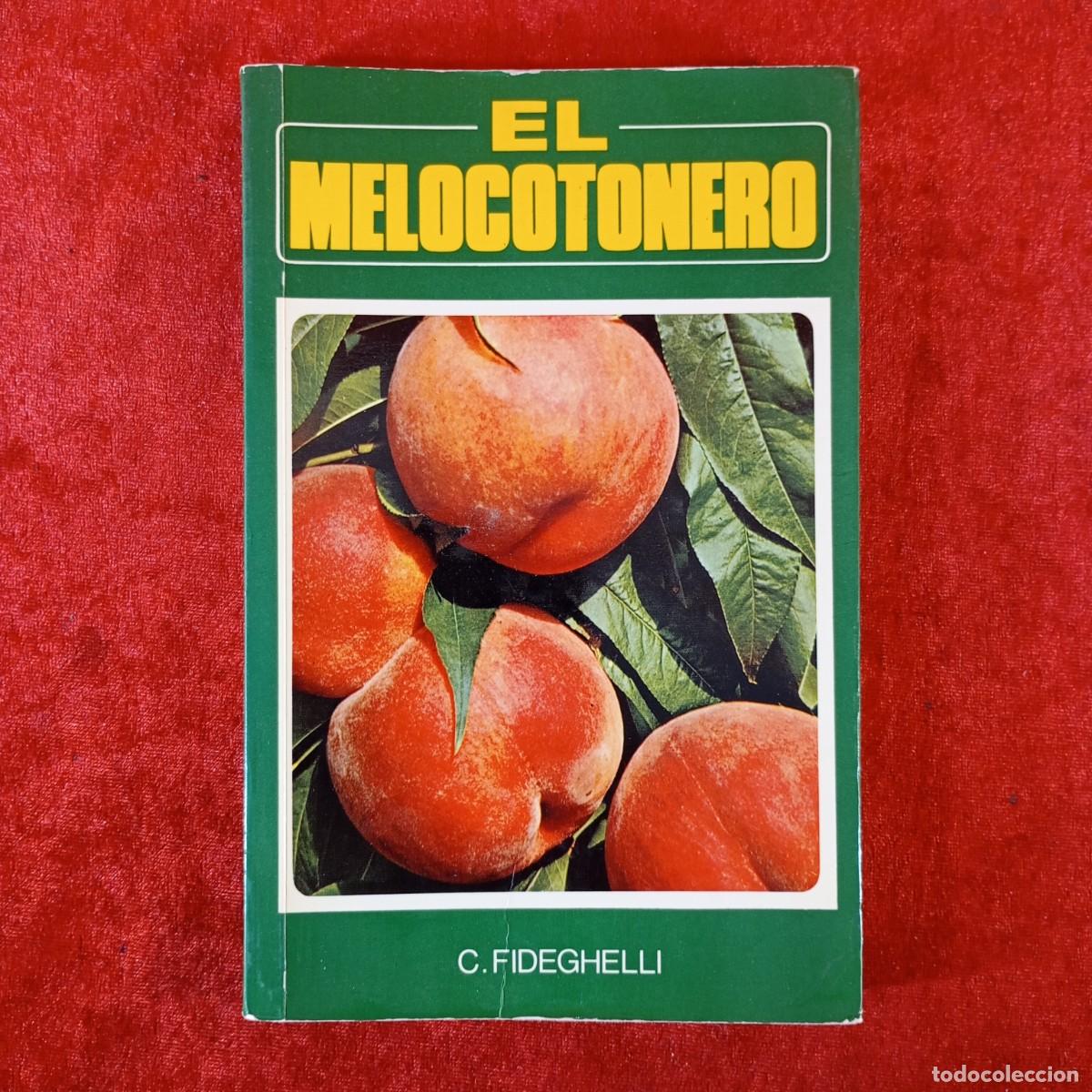 Libros de segunda mano: EL MELOCOTONERO - C. FIDEGHELLI - 1987 - EDICIONES MUNDI-PRENSA / 2197