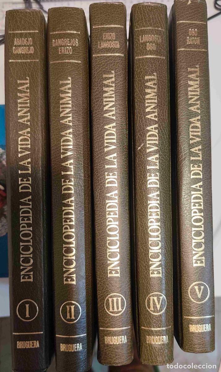Libros de segunda mano: GRAN ZOO - ENCICLOPEDIA DE LA VIDA ANIMAL - 464 PAGINA POR TOMO - BRUGUERA 1974 - LEER - TOMO 1