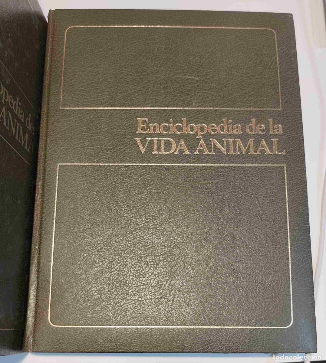 Libros de segunda mano: GRAN ZOO - ENCICLOPEDIA DE LA VIDA ANIMAL - 464 PAGINA POR TOMO - BRUGUERA 1974 - LEER - TOMO 2