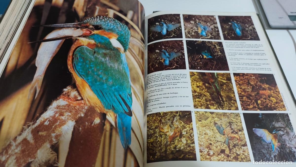 Libros de segunda mano: GRAN ZOO - ENCICLOPEDIA DE LA VIDA ANIMAL - 464 PAGINA POR TOMO - BRUGUERA 1974 - LEER - TOMO 3
