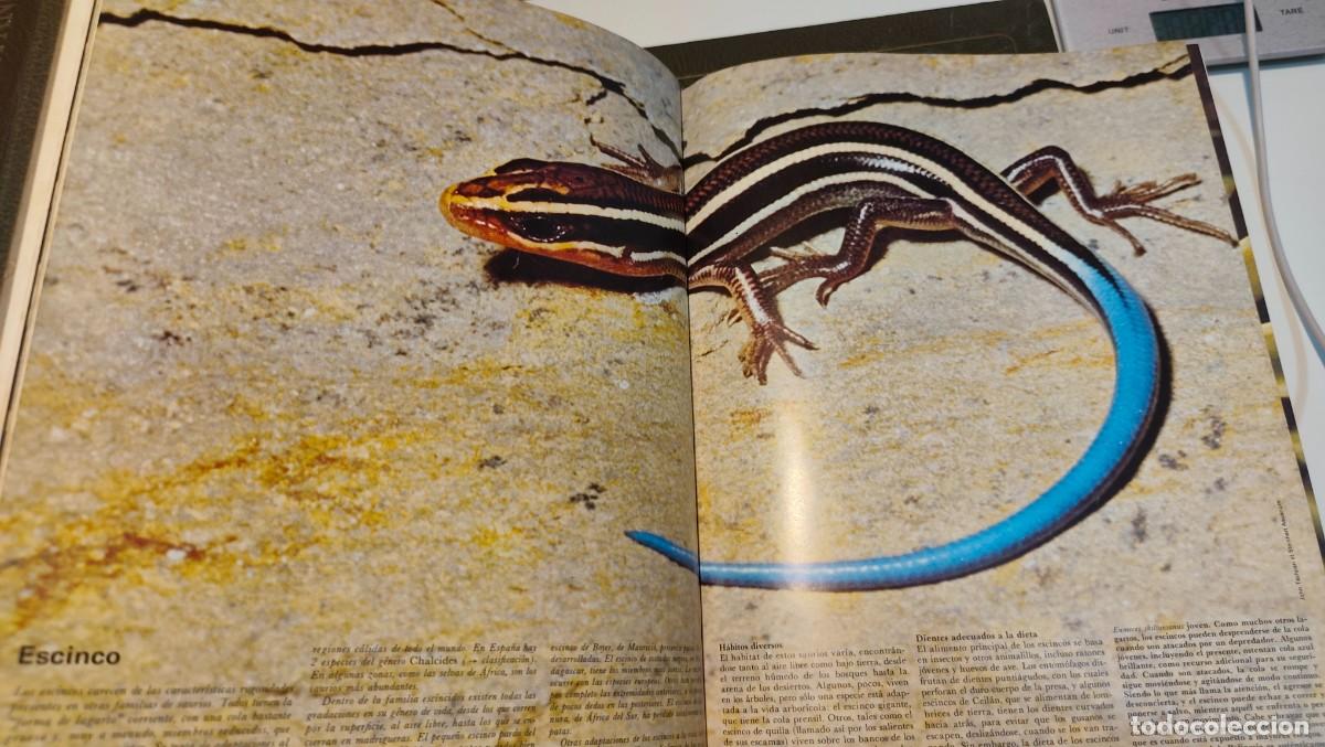 Libros de segunda mano: GRAN ZOO - ENCICLOPEDIA DE LA VIDA ANIMAL - 464 PAGINA POR TOMO - BRUGUERA 1974 - LEER - TOMO 5