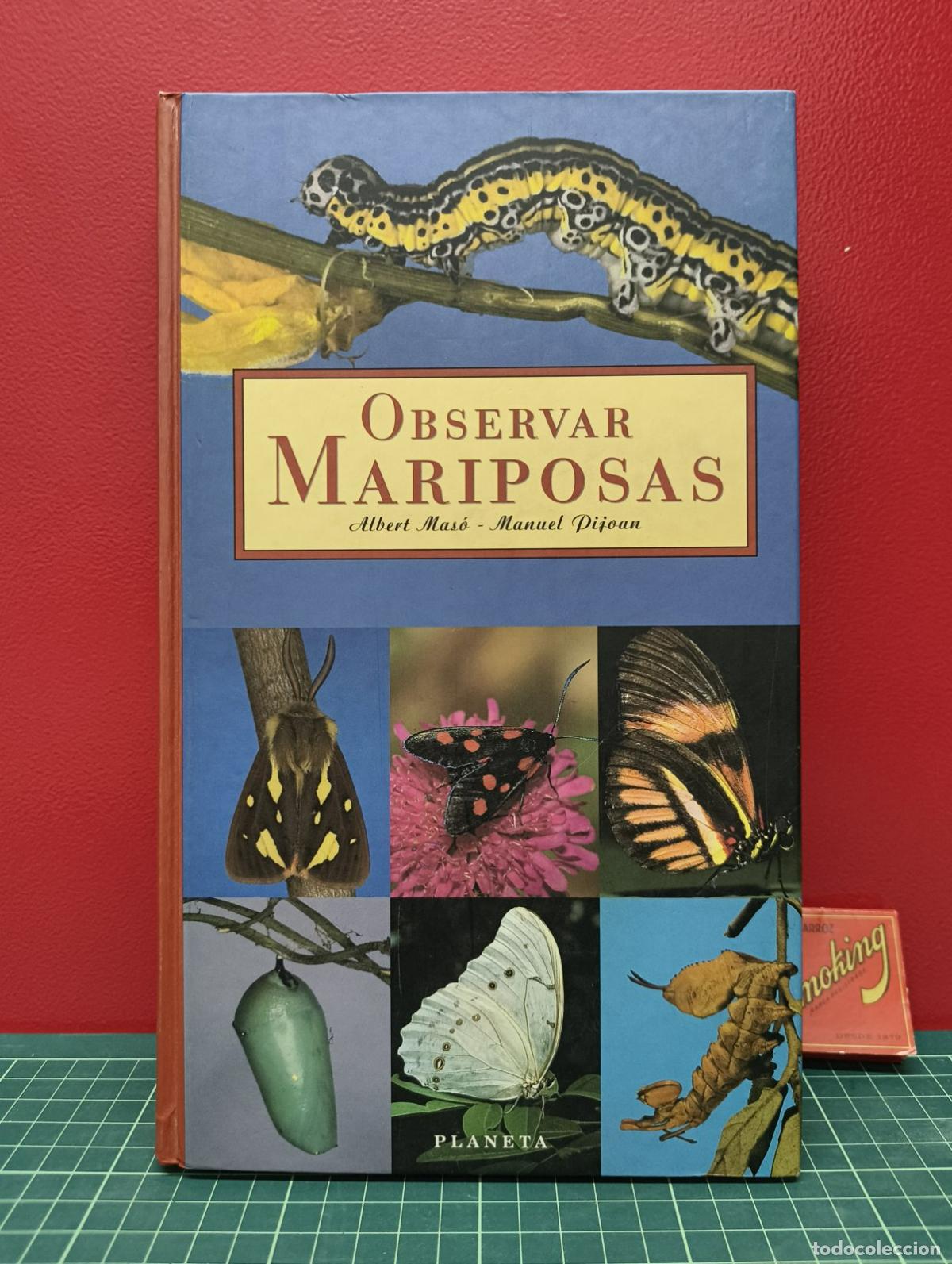 Libros de segunda mano: Observar mariposas - Albert Mas&oacute; y Manuel Pijoan