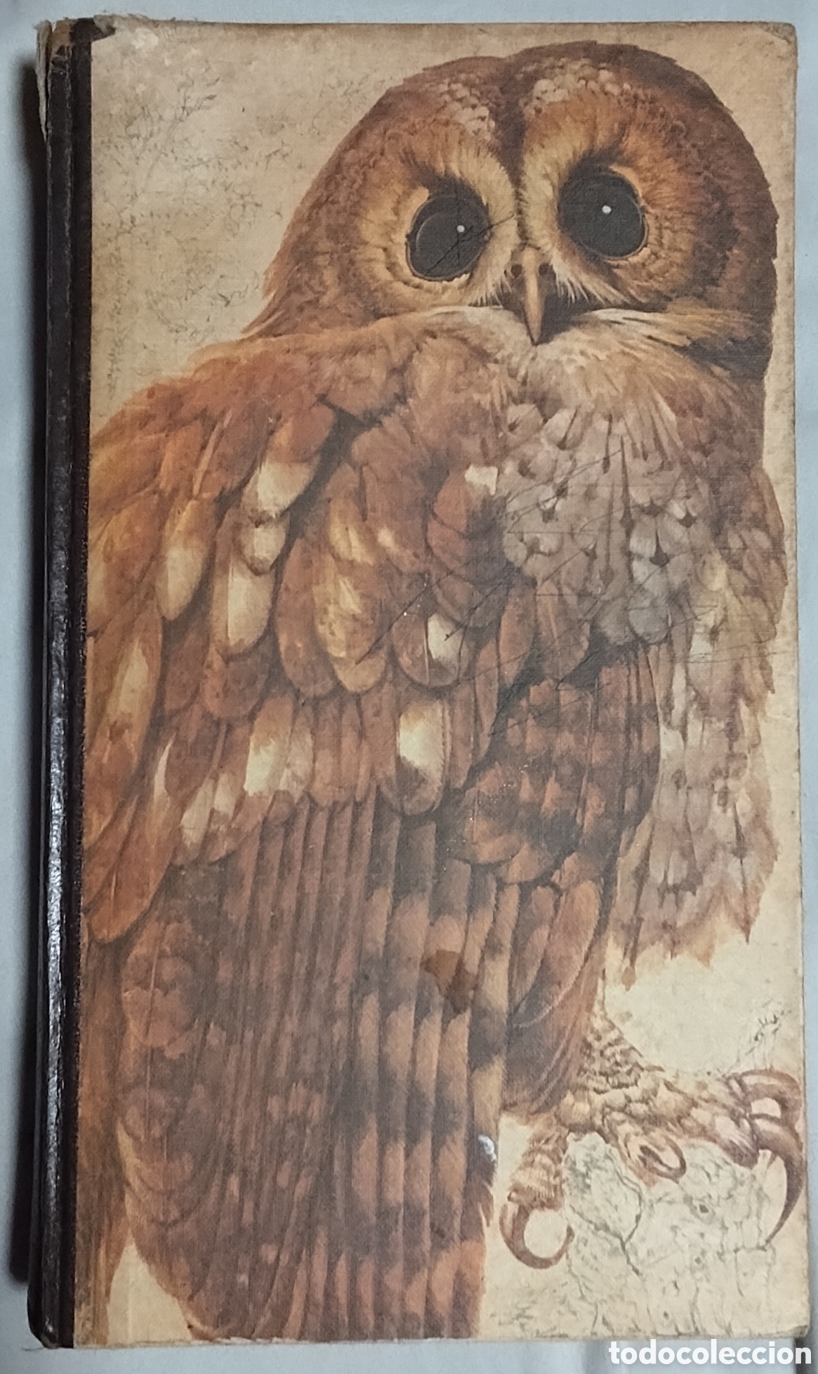 Libros de segunda mano: Libro EL LIBRO DE LAS AVES DE ESPA&Ntilde;A - Reader&rsquo;s Digest 1972 - Richard Fitter / Manuel Fern&aacute;ndez